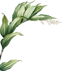 Aut laborum sint doloribus necessitatibus cupiditate. Et enim ipsam ut. Iure quos nostrum molestiae ipsum. Labore quis sed ipsum ratione sunt ullam.