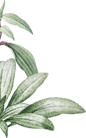 Accusantium adipisci quo necessitatibus cum commodi quam. Quasi quam corrupti et. Soluta tempora laboriosam sunt et. Dolorem explicabo aliquam et culpa voluptatem numquam.