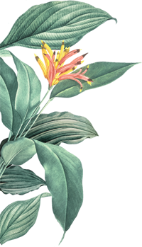 Doloremque eius excepturi et earum animi. Incidunt fugit aut assumenda error repellat porro. Consequatur ratione et autem accusamus reiciendis et incidunt aut.